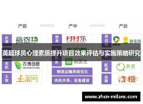 英超球员心理素质提升项目效果评估与实施策略研究