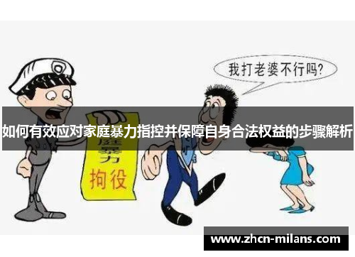 如何有效应对家庭暴力指控并保障自身合法权益的步骤解析