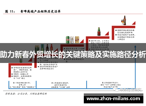 助力新春外贸增长的关键策略及实施路径分析